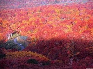 天下彩天下彩正版免费资料大全-香格里拉的天气，一晴一雨，皆是人间绝色