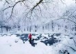 长春24小时，从晨雾到夜雪，一组天气预报里的城市呼吸