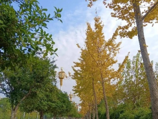 宜春天气，四季流转中的温润诗意