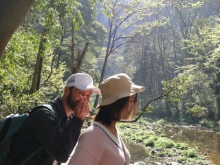 张家界十五天天气观察，山峦间的气候密码
