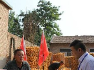 德州30天天气预报，精准掌握未来一个月的气候变化与生活指南