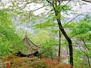 最新湖南天气15天情况，晴雨交替，气温波动较大