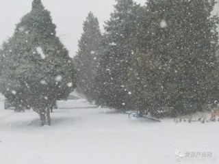 河北将迎大雪大风降温，寒潮来袭，全省进入速冻模式