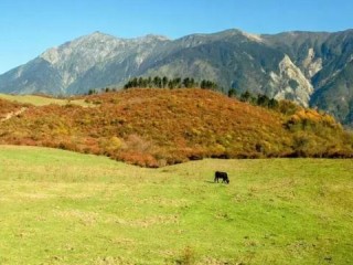 成都未来15天天气预报，秋意渐浓，气温波动需留意