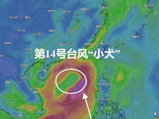 台风实时路径最新，精准追踪，守护安全—如何获取与利用台风动态信息