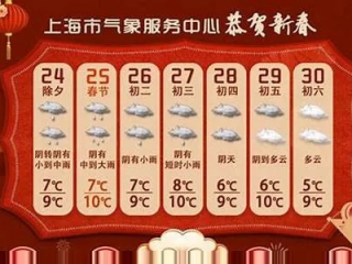 上海天气预报查询，精准掌握申城风云变幻，从容应对每一天