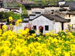 开封天气预报10天，春日古城，晴雨相宜