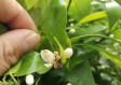 桂林天气20天准确（桂林天气24号到30号）
