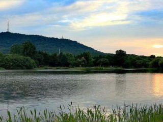合肥天气15天预报，晴雨交替中感受四季变幻