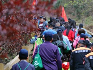 彩票线路导航app-城阳天气，四季流转，风物长情