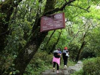 昨天足球比赛比分结果-梵净山天气预报15天，登山前必看的天气指南与旅行建议
