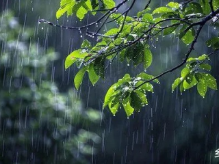 雨何时来，何时去