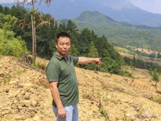 安吉天气预报，山水间的气候密码，你的出行指南