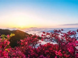 麻城天气，四季分明的诗意与烟火气