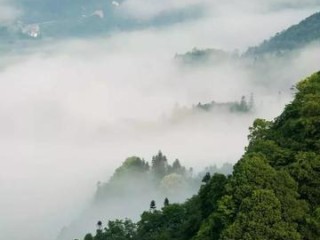 秒速牛牛-叙永天气预报，一场与山城云雾的温柔对话
