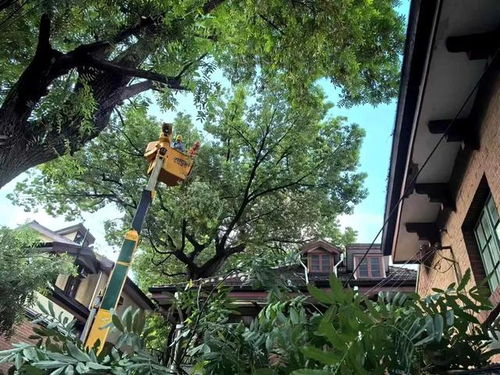 樟树天气(樟树市天气) 樟树天气(樟树市天气)