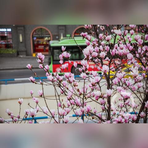 新疆旅游攻略必玩的景点（新疆旅游攻略必玩的景点线路图）