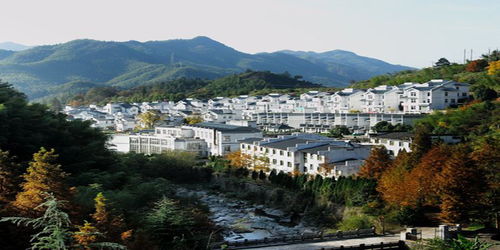 黄山市天气预报（黄山市天气预报查询）