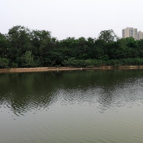 涟水天气预报,带你感知四季的温度与诗意 涟水天气预报,带你感知四季的温度与诗意