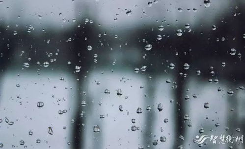 湖南天气7天情况,阴雨开场,周末暖阳回归 湖南天气7天情况,阴雨开场,周末暖阳回归