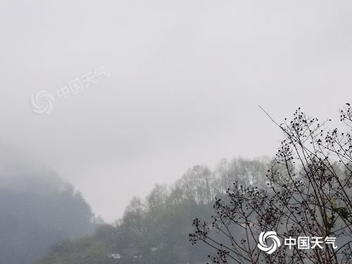 湖南天气7天情况,阴雨开场,周末暖阳回归 湖南天气7天情况,阴雨开场,周末暖阳回归