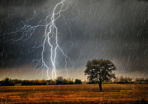 天线宝宝下载-武汉未来30天天气预报，盛夏酷热与雷雨交织，市民需做好防暑降温准备