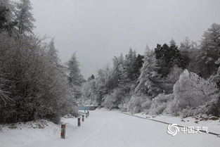 山东迎大范围雨雪天气,银装素裹齐鲁地,出行保暖需留意 山东迎大范围雨雪天气,银装素裹齐鲁地,出行保暖需留意