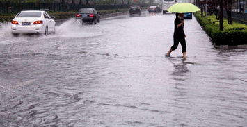 浙江即将迎最强降雨,暴雨来袭,这些准备你做好了吗? 浙江即将迎最强降雨,暴雨来袭,这些准备你做好了吗?