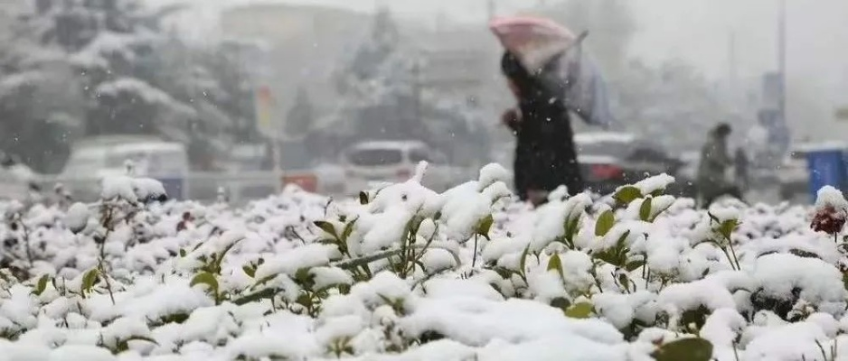 下周天气,冷暖交替,雨雪试探春意 下周天气,冷暖交替,雨雪试探春意