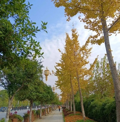 宜春天气,四季流转中的温润诗意 宜春天气,四季流转中的温润诗意