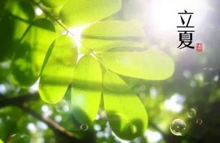 广西桂林天气预报7天，春意渐浓，出行需留意天气变化