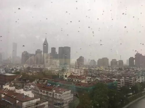南京的天气 南京的天气