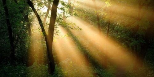 三门峡一周天气预报，春暖花开，气温起伏需注意