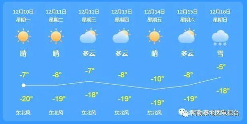 东港天气预报，海风中的温度密码