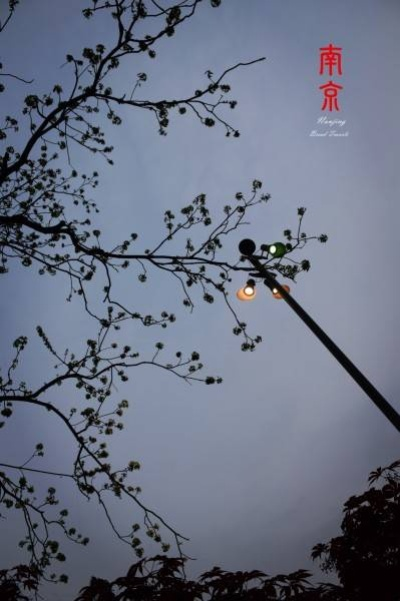 金陵烟雨录,南京天气里的风物与记忆 金陵烟雨录,南京天气里的风物与记忆