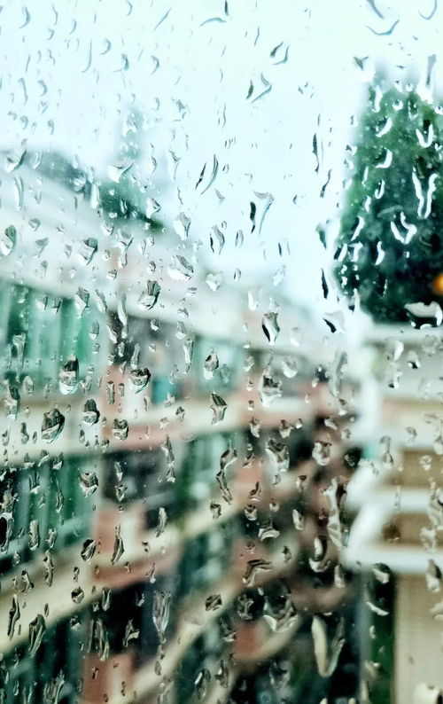雨,在三点十七分落下 雨,在三点十七分落下
