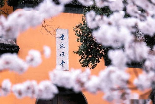 泗洪天气,四季的温柔与倔强 泗洪天气,四季的温柔与倔强